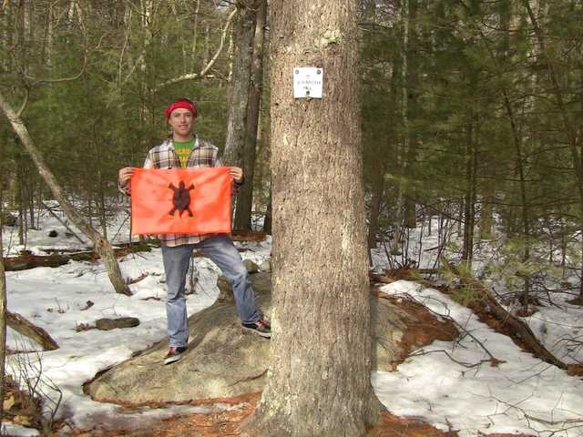 Snowy woods and a small summit marker nailed to a tree on Jerimoth Hill